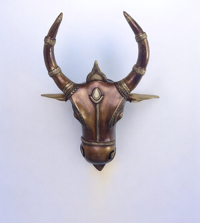 Brass Bull Head (Dual Tone)