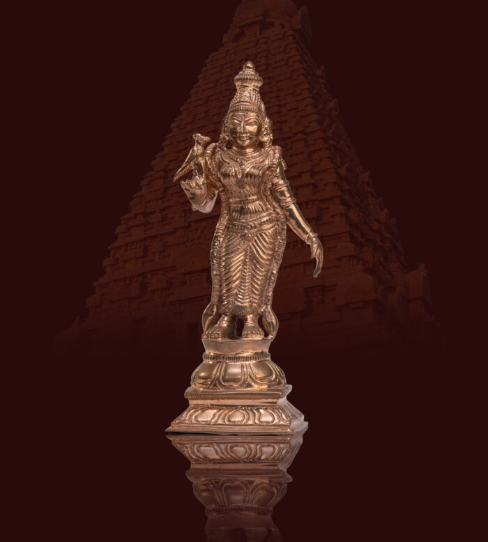 Chola Bronze Meenakshi