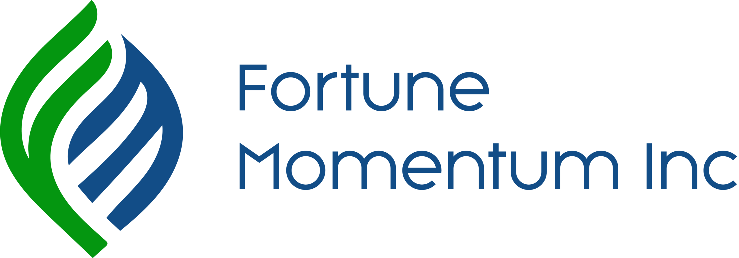 Fortune Momentum