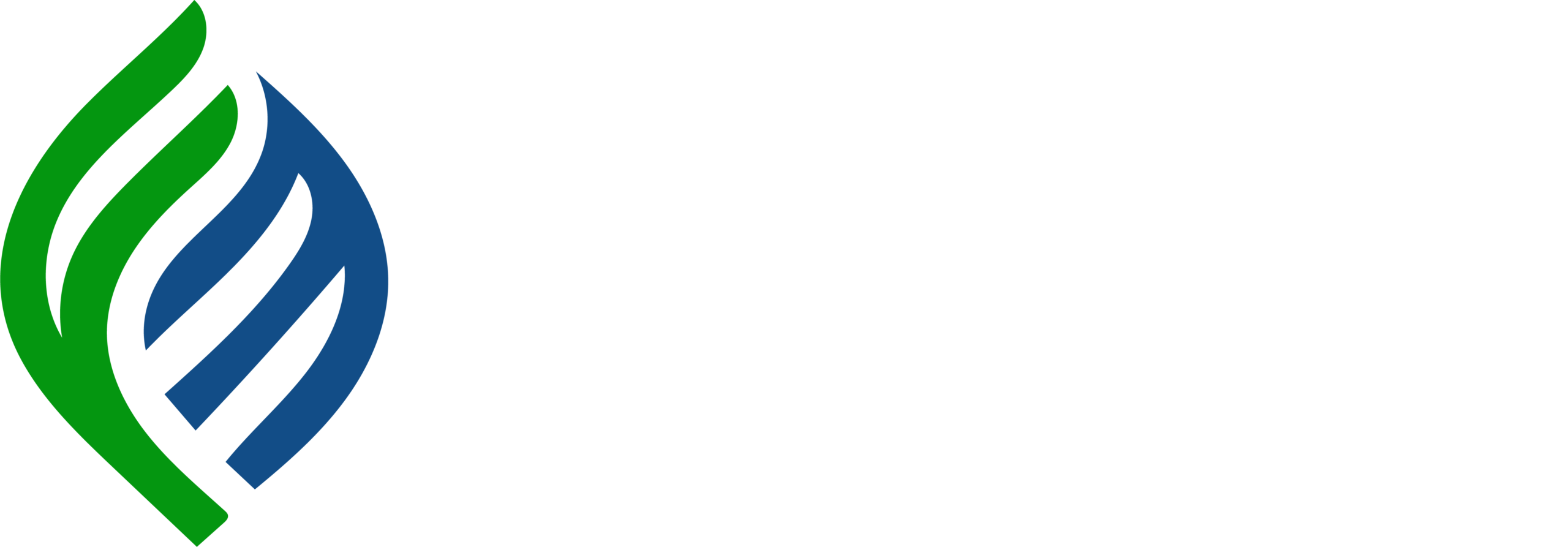 Fortune Momentum