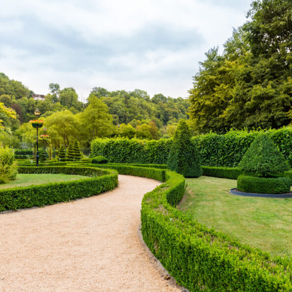 Figures in shape of swirl and cone from the bushes, summer park in Europe. Professional gardening, european green landscape, garden plants decoration