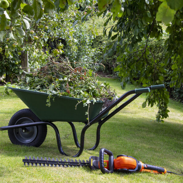 Gardening - Wheelbarrow full of hedge cuttings next to an electric hedge trimmer.
