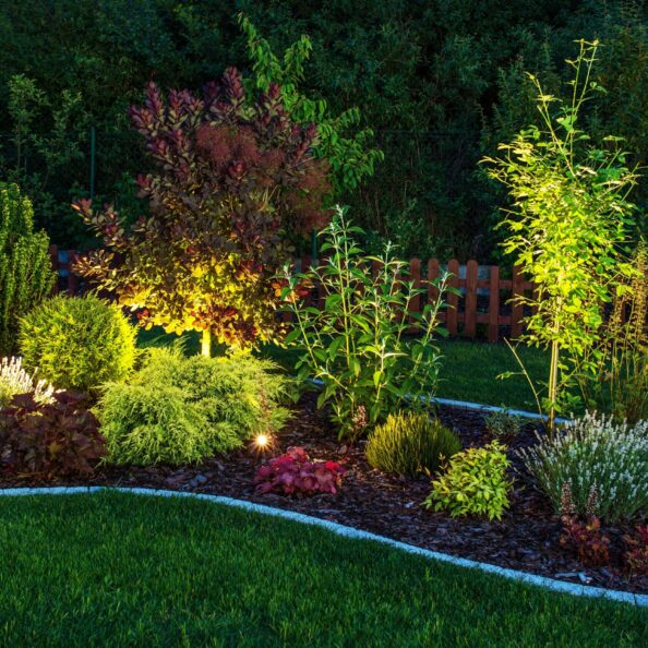 Illuminated Garden by LED Lighting. Backyard Garden at Night Closeup Photo.