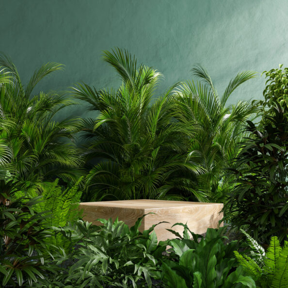 Wooden podium in tropical forest for product presentation and green wall.3d rendering