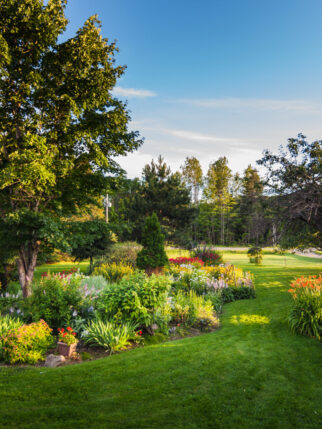 Beautiful Front Yark Garden and Grass