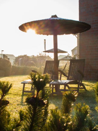 daylight-shot-of-sunbeds-under-a-parasol-in-a-beau-2024-11-25-20-12-18-utc