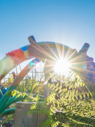 garden-hose-sunburst-2025-01-08-04-11-12-utc