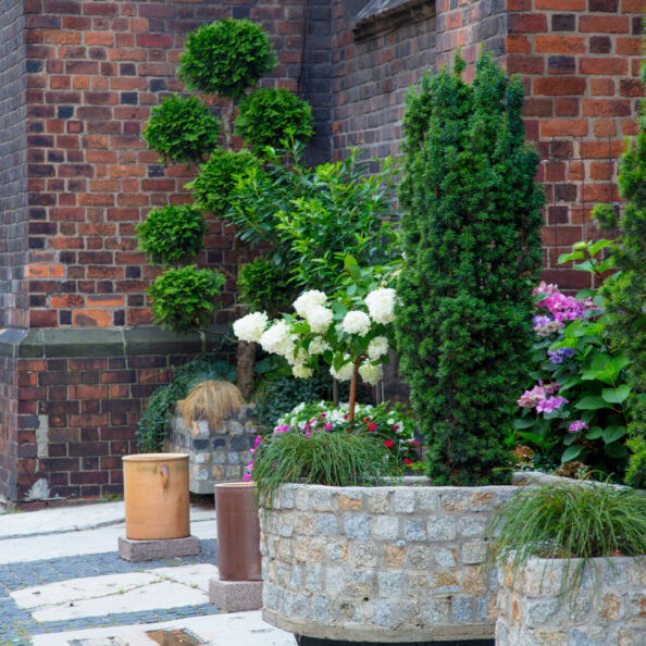 Beautiful flowers near red brick wall at street