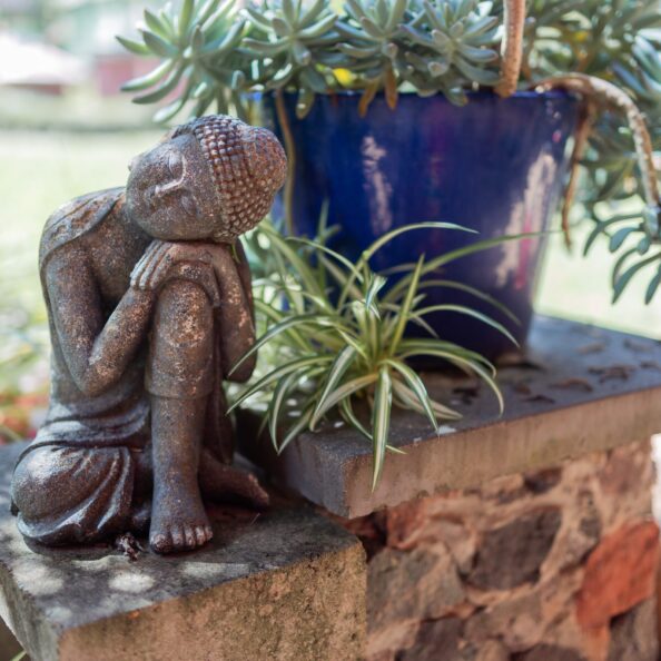 buddha-statue-near-the-pot-with-plant-2025-01-09-03-22-48-utc