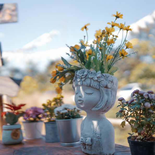 decoration of plant and flower in cafe garden or home outdoor, nature green plant decorate to feeling of cozy comfortable in summer and environmental concept