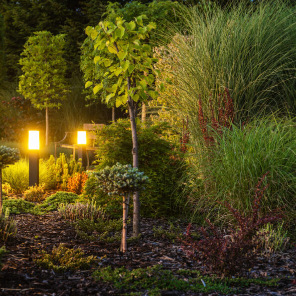 Colorful Full of Decorative Backyard Garden Illuminated by Outdoor Landscape Lighting. Night Time in a Garden.