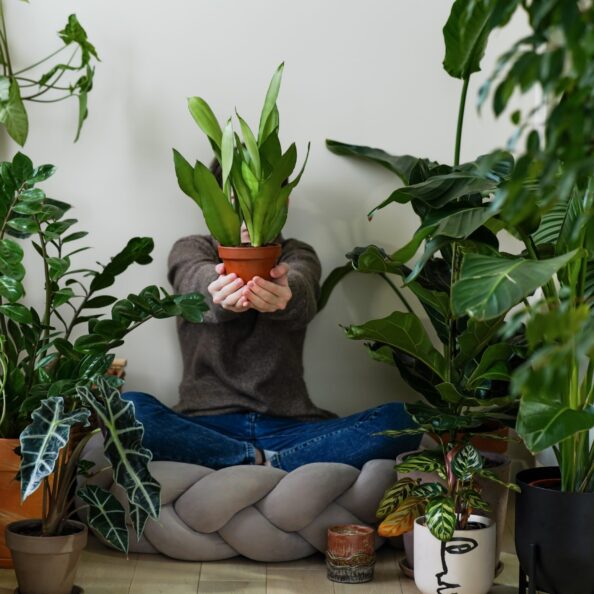 jungle-inspired-aesthetic-faceless-boy-at-cozy-no-2025-01-07-23-23-14-utc