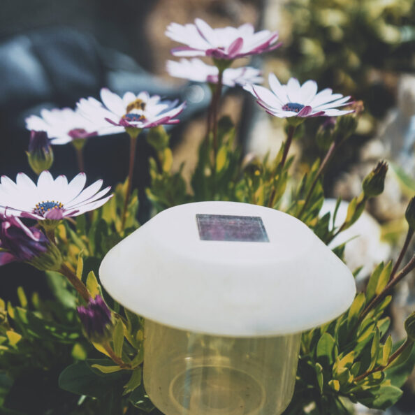 Little solar panel surrounded by flowers