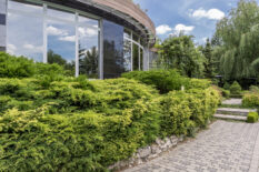 pavement-next-to-a-big-modern-house-exterior-and-g-2025-10-01-07-11-40-utc