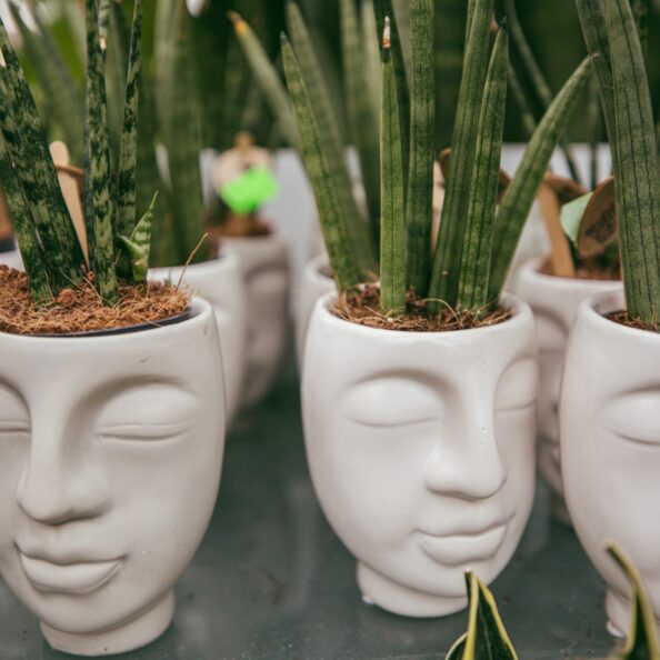 strange-pots-in-the-form-of-heads-2025-02-10-09-15-06-utc