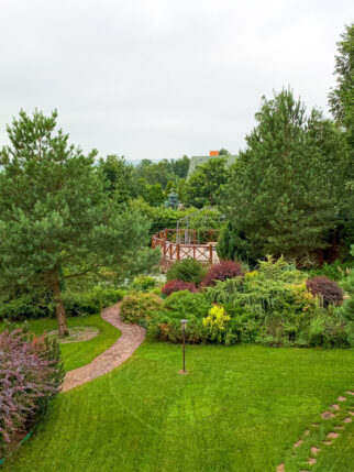 pavilion-2024-12-04-17-28-55-utc