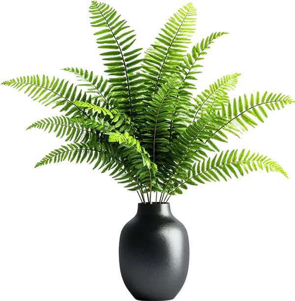 Fern 1